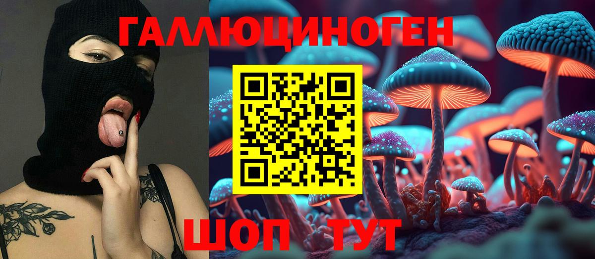 Псилоцибиновые грибы мицелий Лыткарино