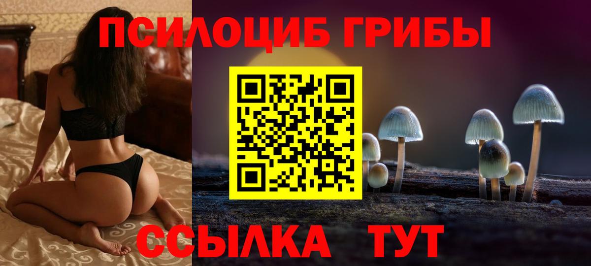 Лыткарино  Галлюциногенные грибы мухоморы  Вход с VPN  Псилоцибиновые грибы MAGIC MUSHROOMS 